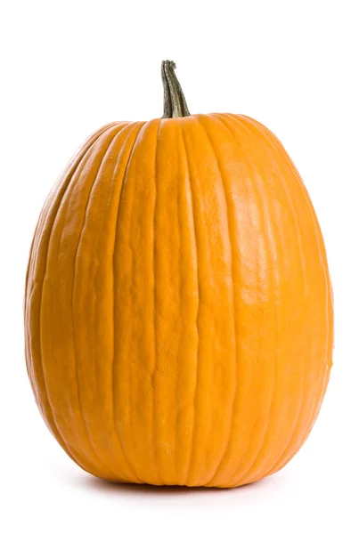 Pumpa — Stockfoto