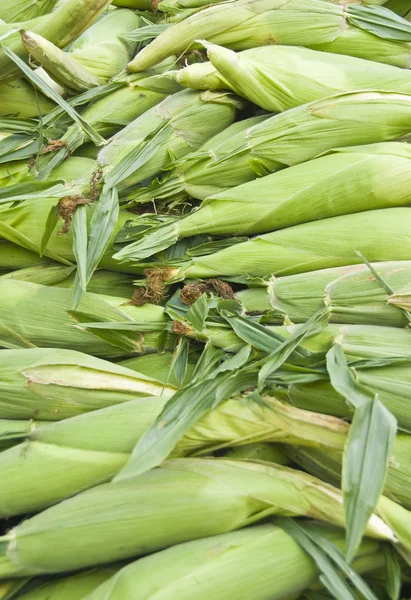 Stapel van verse maïs — Stockfoto