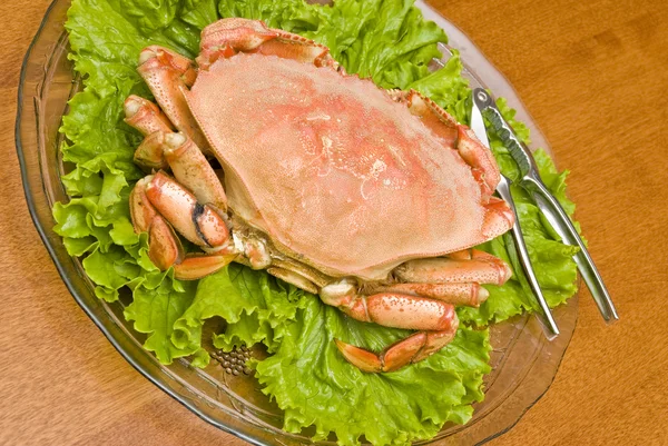 Prepared Dungeness Crab — Stock Photo, Image