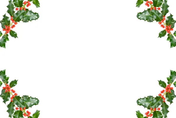 圣诞冬青边框 — 图库照片