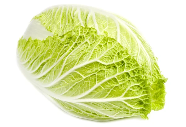 Napa Cabbage Isolated on White — Stock Photo, Image