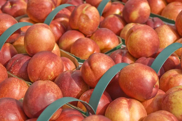 Baskets of Nectarines — Stock Photo, Image