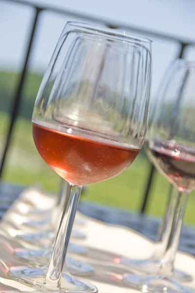 Degustação de vinhos numa vinha — Fotografia de Stock