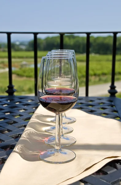 Degustación de vinos por el viñedo — Foto de Stock