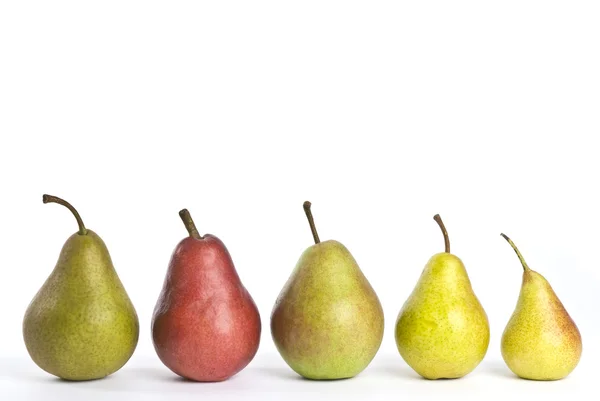 En rad med diverse päron isolerad på vit — Stockfoto