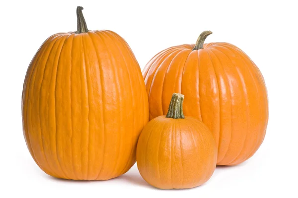 Pumpkins — Stock Photo, Image