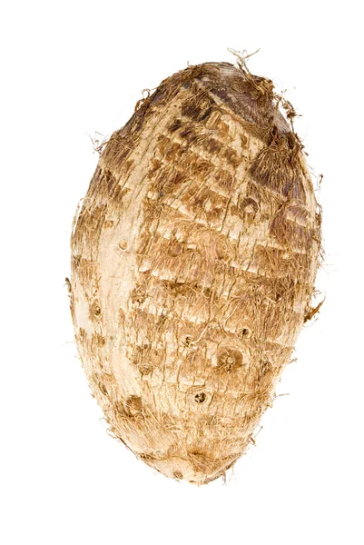 Taro Root — Stock Photo, Image