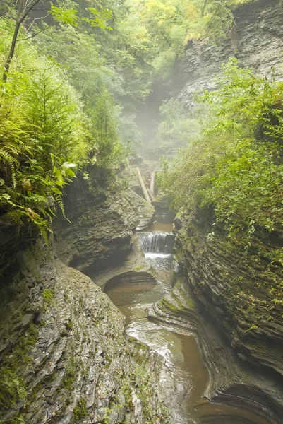 Watkins glen-kloof — Stockfoto