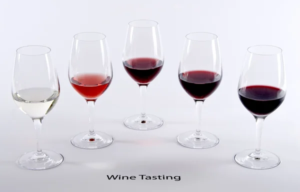 Degustação de vinhos (Educação ) — Fotografia de Stock