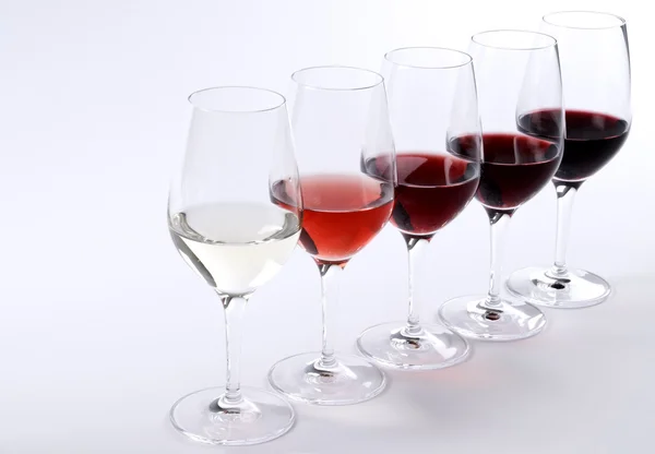 Degustazione vini — Foto Stock