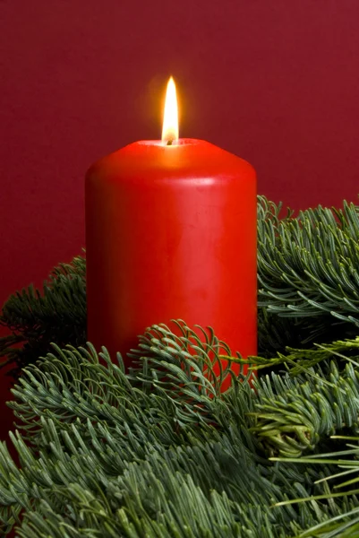 Красная рождественская свеча среди сосен Стоковая Картинка