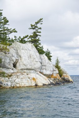çam ağacı ve beyaz granit