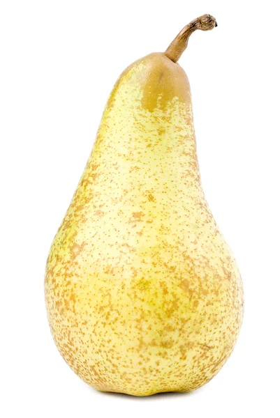 Abate päron isolerad på vit — Stockfoto