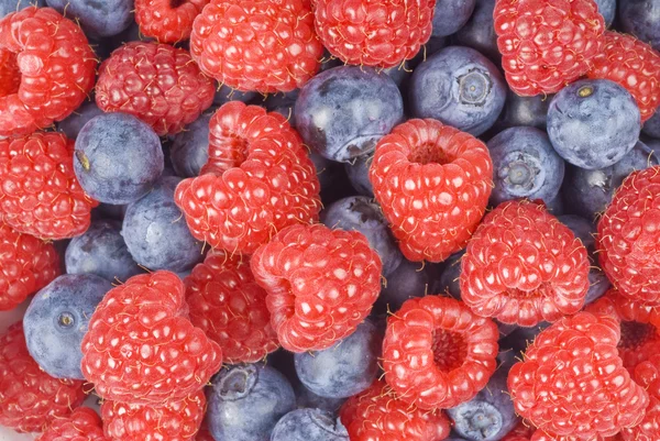 Blaubeeren und Himbeeren Nahaufnahme — Stockfoto