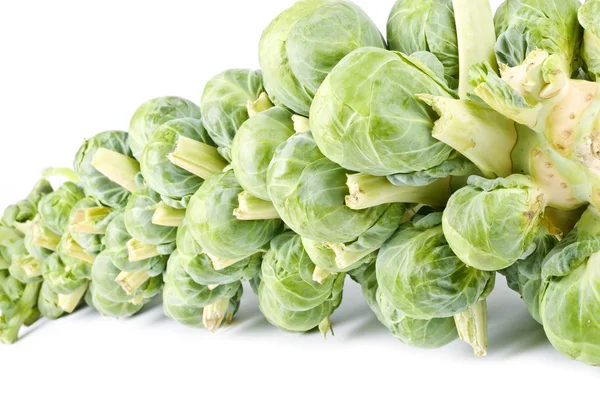 A Stalk of Brussels Sprouts — Stock Photo, Image