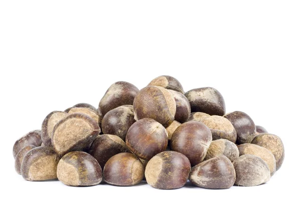 Pile of Chestnuts — Stock Photo, Image