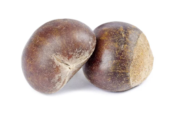 Chestnuts Isolated on White — Stock Photo, Image