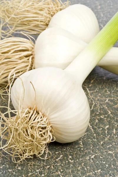 Fresh Garlic Bulbs — Stock Photo, Image