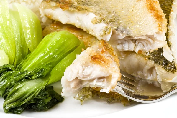 Gekochtes Pickerel-Fischfilet — Stockfoto