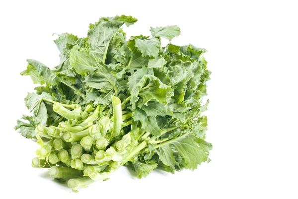 Haufen Rapini isoliert auf weiß — Stockfoto