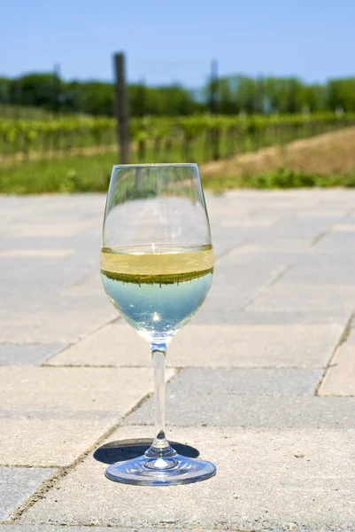 Vineyard in a Glass — Stock Photo, Image