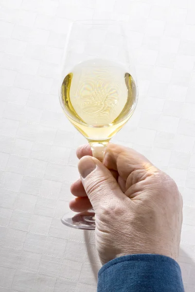 Mão segurando um copo de vinho branco — Fotografia de Stock