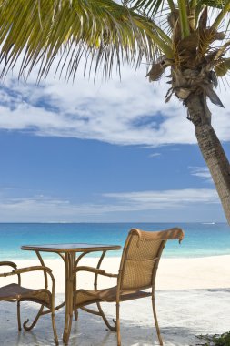 veranda sandalye ve masa caribbean beach tarafından