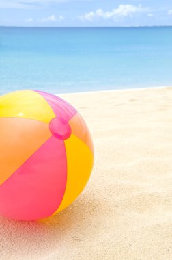 bir plaj renkli plaj topu