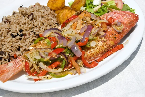 Pargo rojo frito con verduras y arroz — Foto de Stock