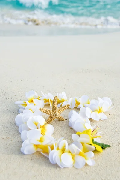 Star vis en doek lei op een Caribisch strand — Stockfoto