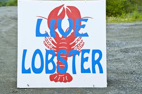 Live Lobster Sign — Stock Photo, Image