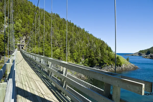 Suspension Bridge på La Manche Provincial Park - Stock-foto