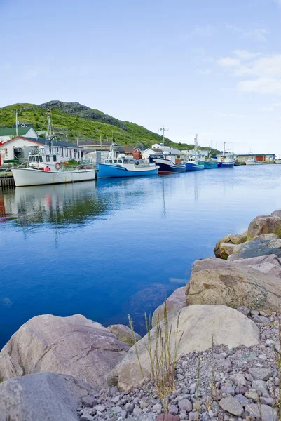 取るに足らない港漁村、ニューファンドランド — ストック写真