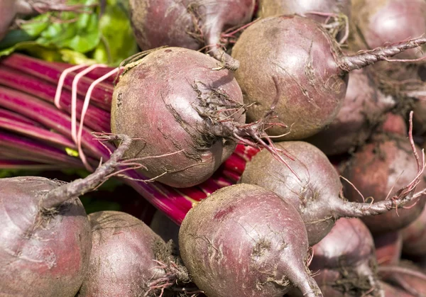 Un mucchio di barbabietole fresche — Foto Stock