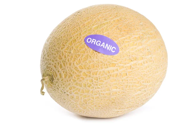 Organische meloen geïsoleerd op wit — Stockfoto