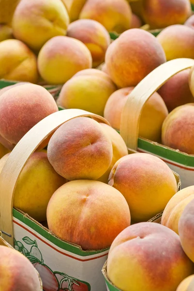 Freshly Picked Peaches — Stock Photo, Image