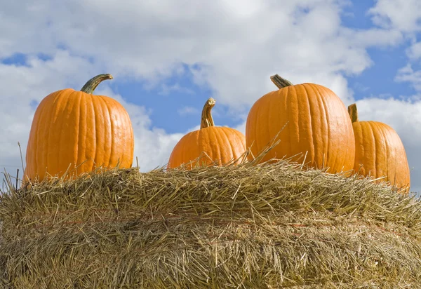 Große orangefarbene Kürbisse auf einem Heustapel — Stockfoto