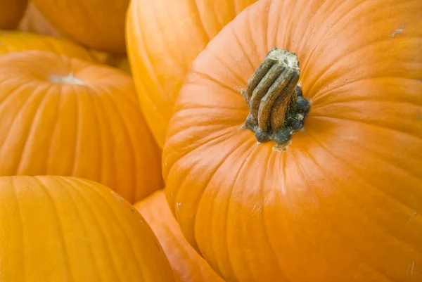 Big Orange Pumpkin Closeup — Stock Photo, Image