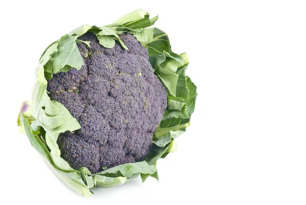 Purple Cauliflower Isolated on White — Stock Photo, Image