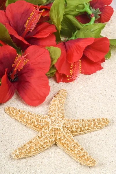 Estrella de mar y Lei en la playa — Foto de Stock