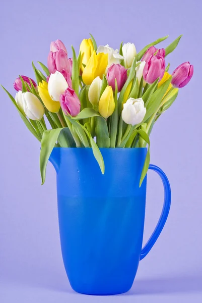 Manojo de coloridos tulipanes en un tarro de plástico azul —  Fotos de Stock