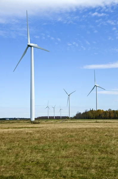 Power Generating Windmills in the Field — Stock Photo, Image