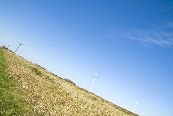 Power Generating Windmills in the Field — Stock Photo, Image