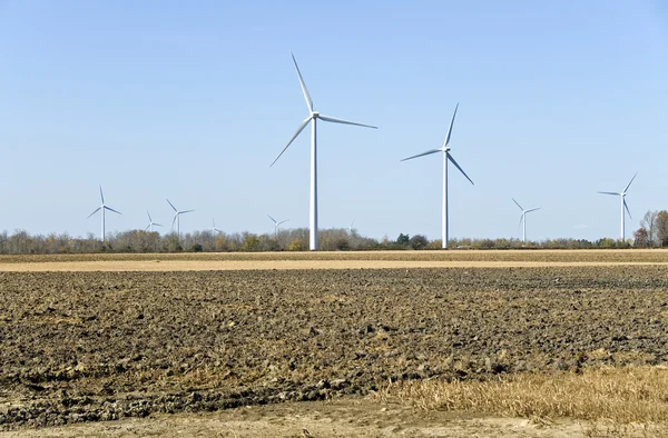 Strømproduktion vindmøller mod den blå himmel i et felt - Stock-foto