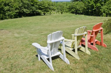 bir üzüm bağı renkli adirondack sandalyeler