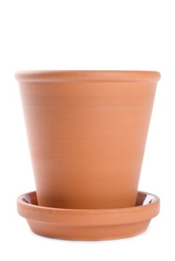 terracotta saksıyı üzerinde beyaz izole
