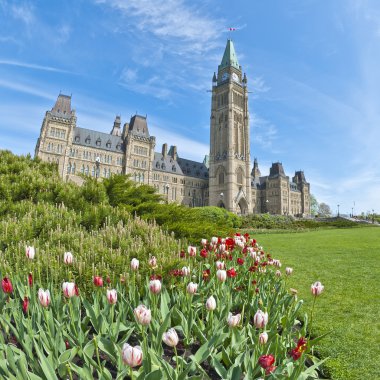Ottawa Parlamento Binası ve laleler