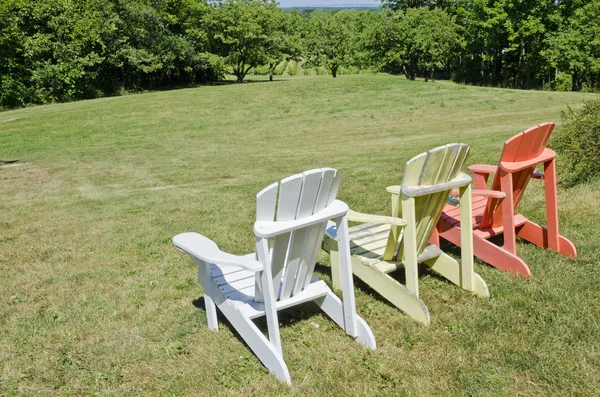 Cadeiras Adirondack coloridas em um vinhedo — Fotografia de Stock