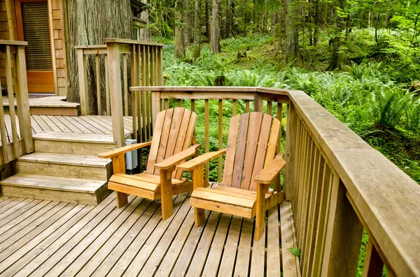 Adirodacks on a Deck in the Forest — Stock Photo, Image