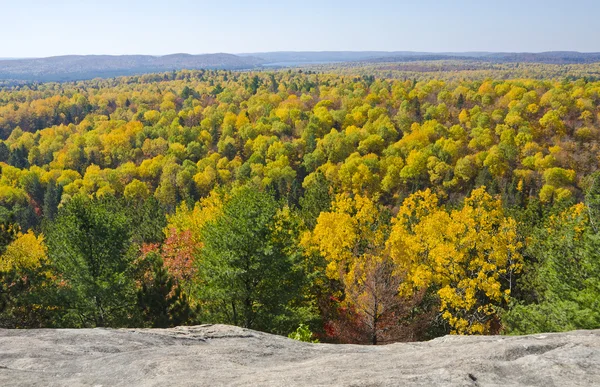 Herbstfarben von einer Klippe aus gesehen — Stockfoto